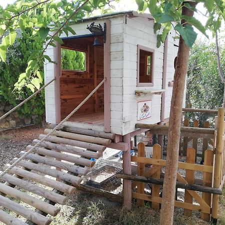 ריוטורטו Azienda Agrituristica Le Betulle מראה חיצוני תמונה