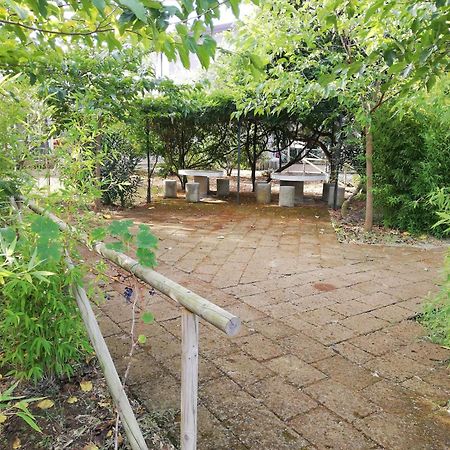 ריוטורטו Azienda Agrituristica Le Betulle מראה חיצוני תמונה