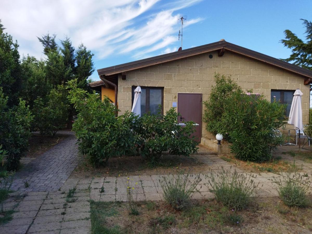 ריוטורטו Azienda Agrituristica Le Betulle מראה חיצוני תמונה
