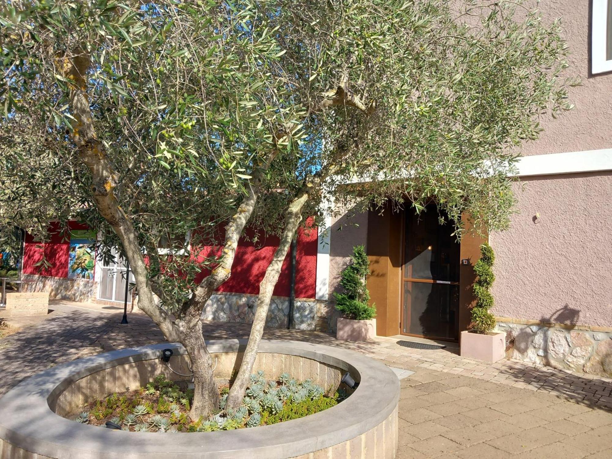 ריוטורטו Azienda Agrituristica Le Betulle מראה חיצוני תמונה