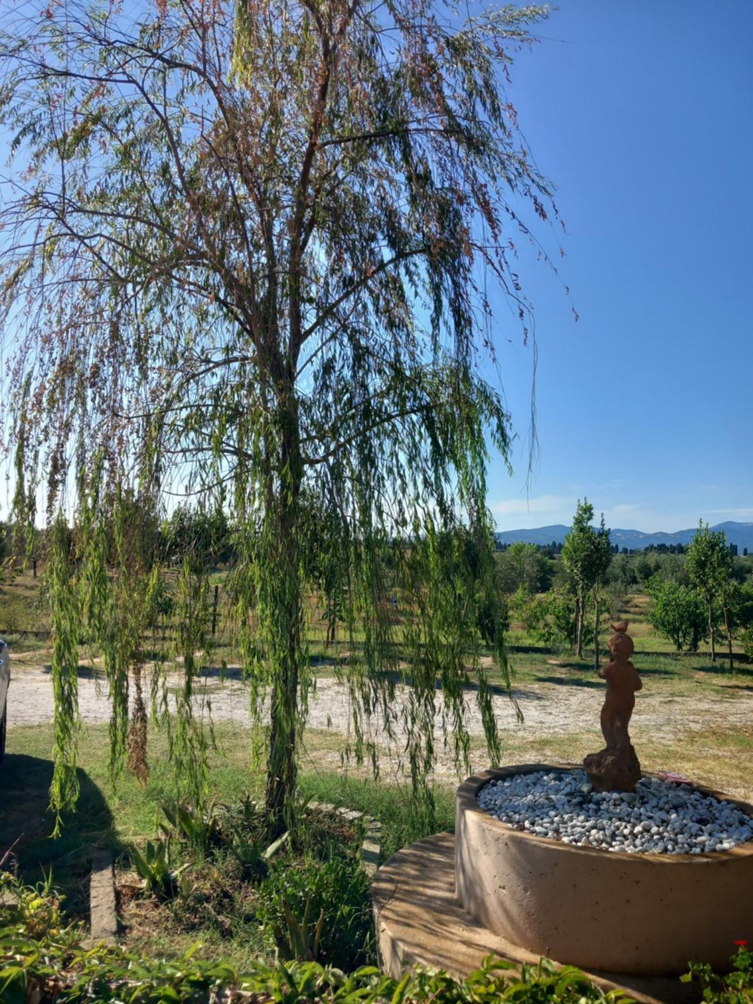 ריוטורטו Azienda Agrituristica Le Betulle מראה חיצוני תמונה