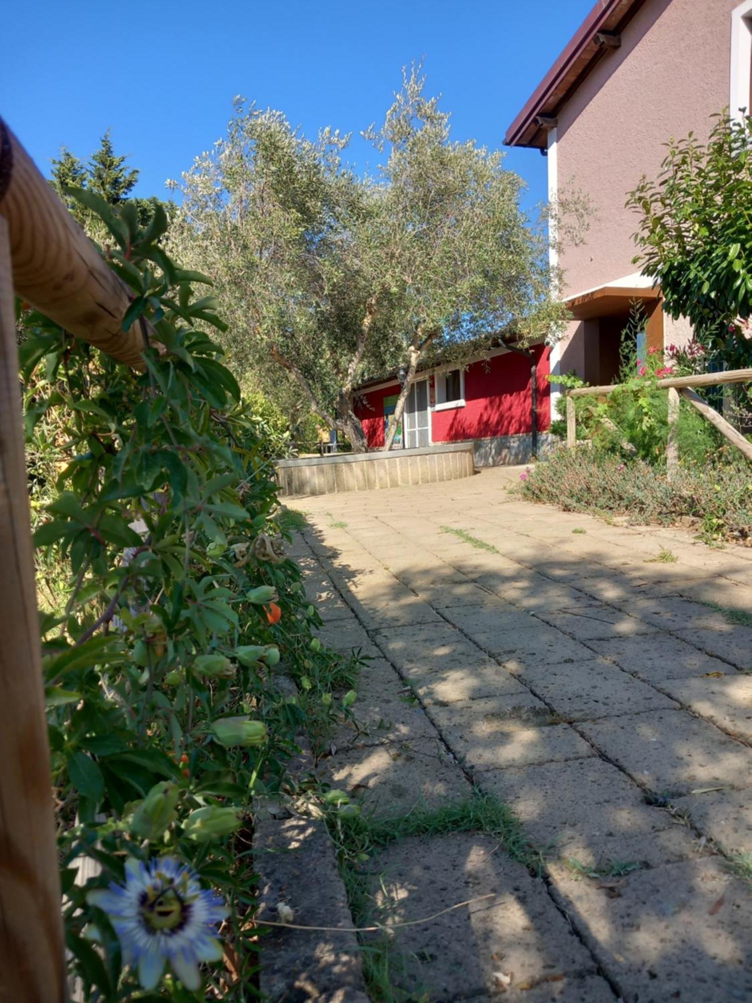 ריוטורטו Azienda Agrituristica Le Betulle מראה חיצוני תמונה