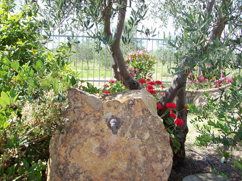 ריוטורטו Azienda Agrituristica Le Betulle מראה חיצוני תמונה