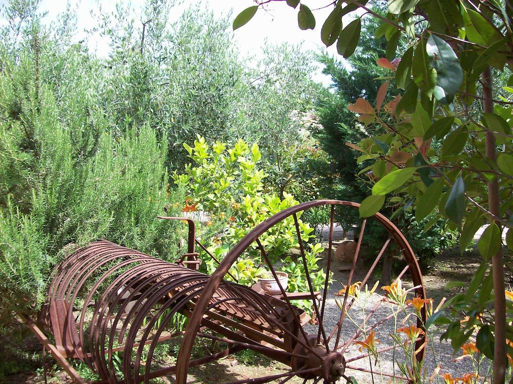 ריוטורטו Azienda Agrituristica Le Betulle מראה חיצוני תמונה