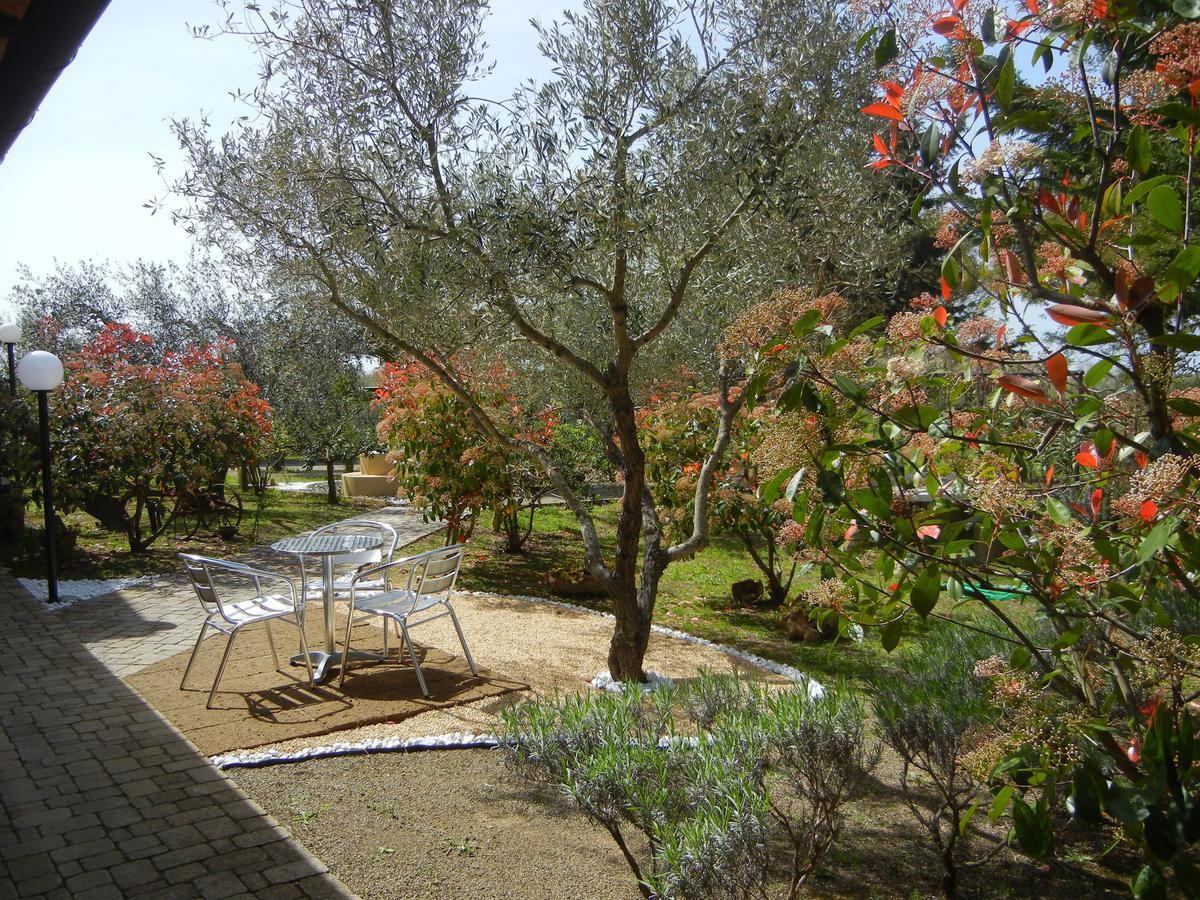 ריוטורטו Azienda Agrituristica Le Betulle מראה חיצוני תמונה